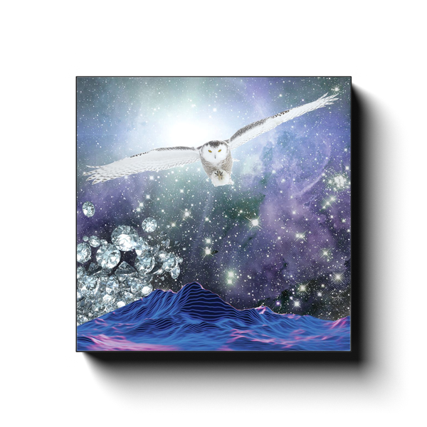 Snowy Owl Dream Canvas Wrap Print