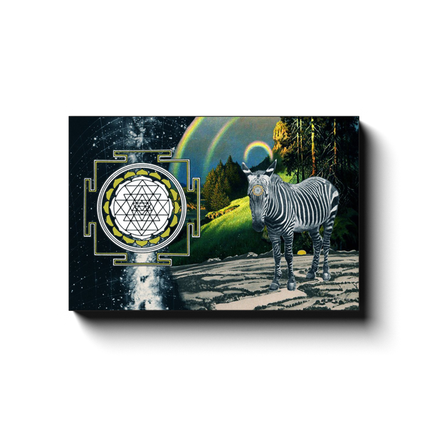 Zebra Magic Canvas Wrap Print