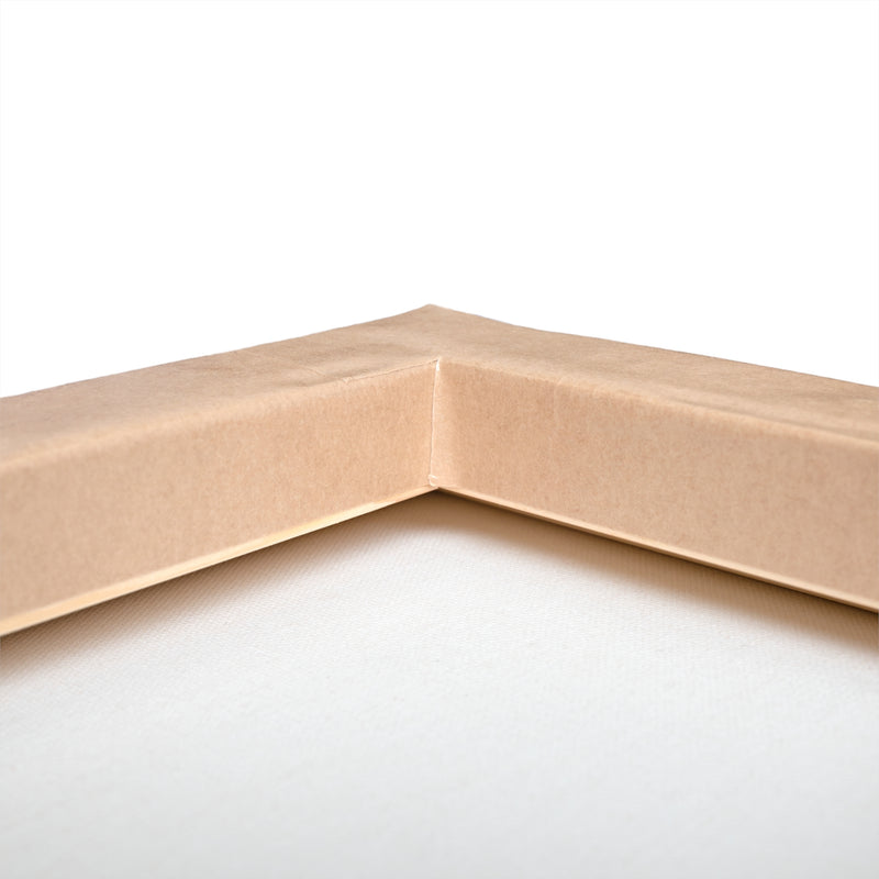 Divine Shield Mandala Canvas Print