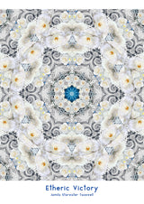 Etheric Victory Silk Kaftan