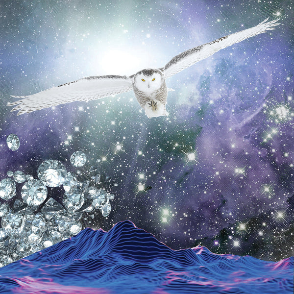 Snowy Owl Dream Canvas Wrap Print