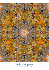 Wild Sanguine Silk Kaftan