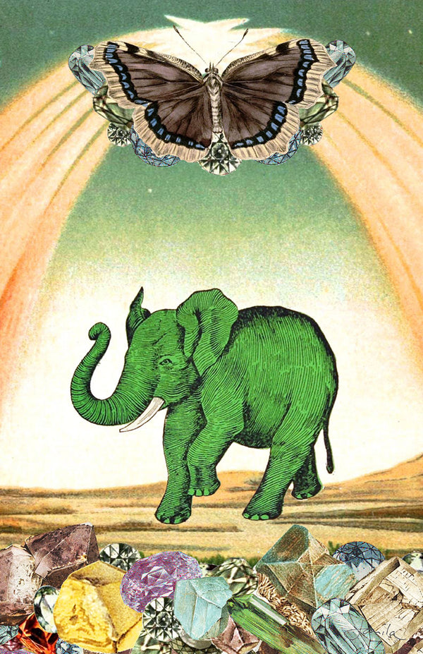 Green Elephant Magic Canvas Wrap Print