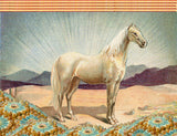 White Horse Canvas Wrap Print