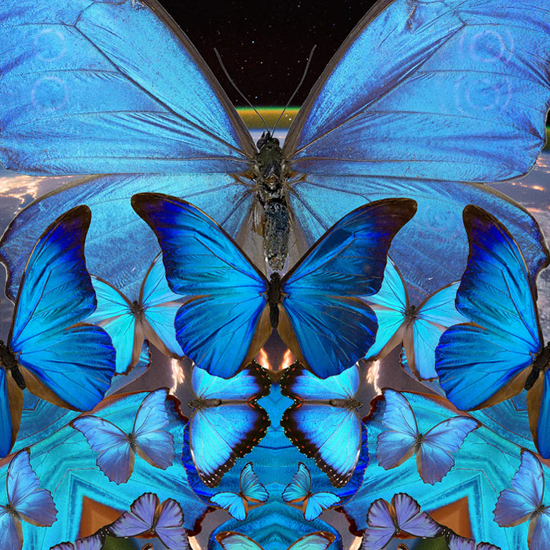 DESTINY // Blue Butterfly Yoga Mat