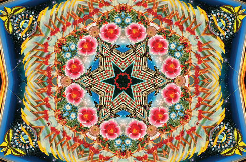 Space Flower Ski Canvas Wrap Print