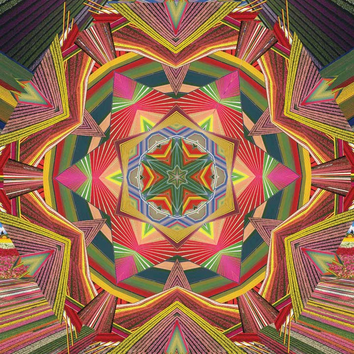 ABUNDANCE // Flower Fields Yoga Mat