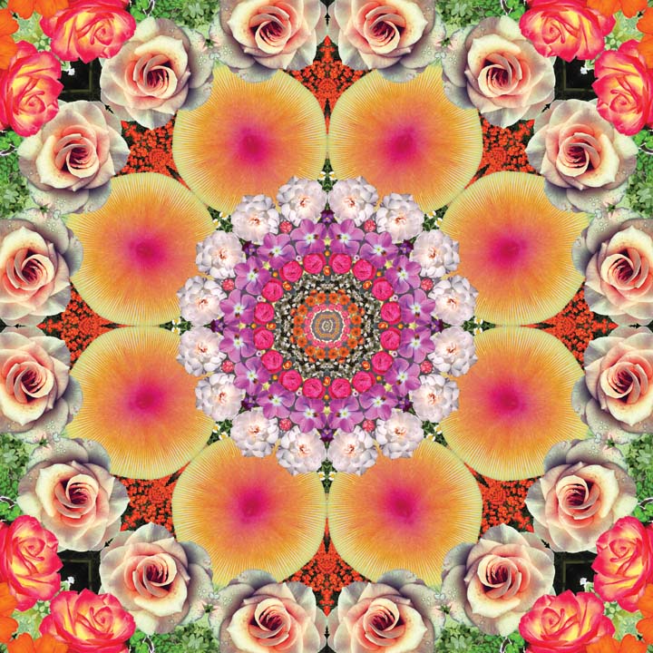 PROSPERITY // Flower Mandala Travel + Hot Yoga Mat