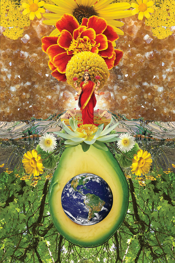 Lakshmi Avocado Earth Traditional Stretched Canvas Print