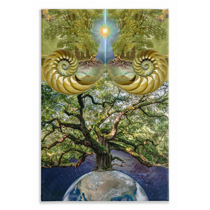 New Earth Traditional Stretched Canvas Print