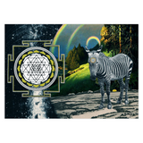 Zebra Magic Greeting Cards Set of 5