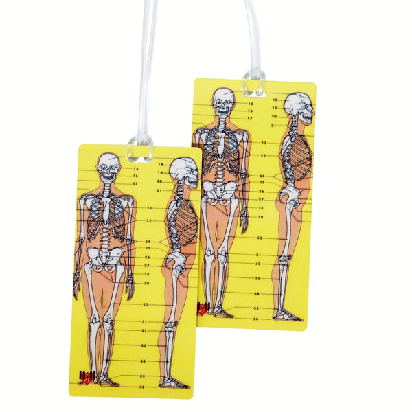 Skeleton Anatomy Luggage Tags