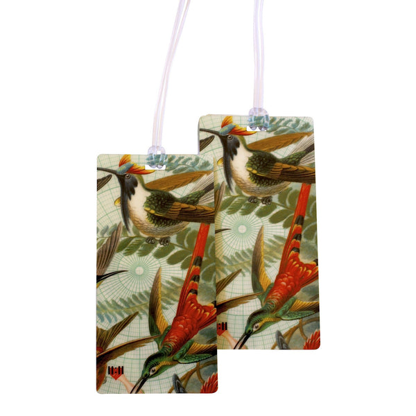 Beautiful Hummingbirds Luggage Tags