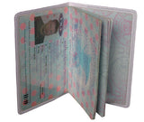 Dapper Blue Flight Map Passport Holder
