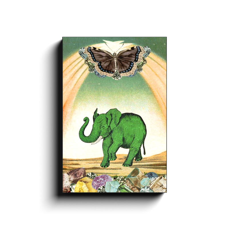 Green Elephant Magic Canvas Wrap Print