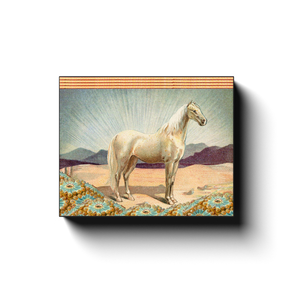 White Horse Canvas Wrap Print