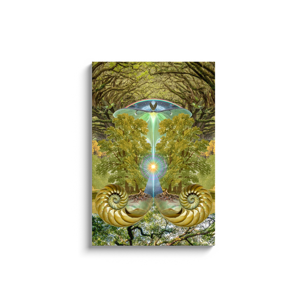 New Earth Canvas Wrap Print