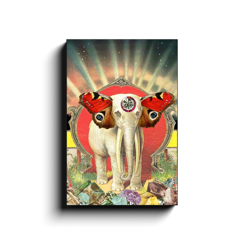 Magical Elephant Canvas Wrap Print